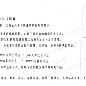 BMV車(chē)輪系列馬達(dá)